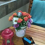 Velvita Апартамент *
